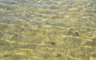 Transparent water overlooking the bottom of the lake.