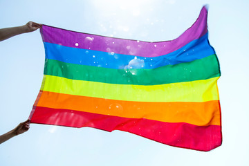 Gay flag