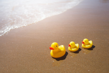 Fototapeta na wymiar yellow rubber ducks on the beach