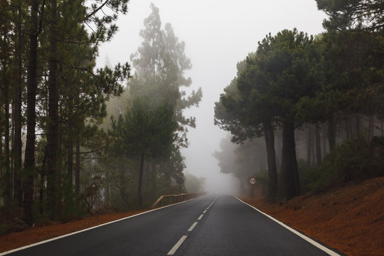 mountain road with dense mist clouds