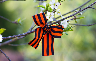 St. George's ribbon. Symbol of victory in world war II. May 9