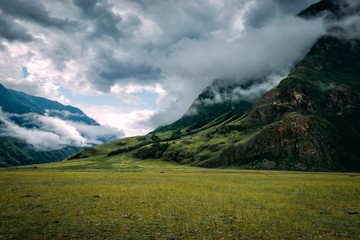 Picturesque mountain landscape. Fog and clouds, sunrise over the green meadows. Foggy summer morning in the mountains.
