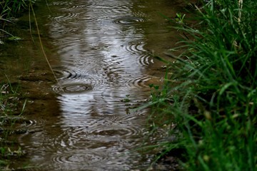 a small stream on which raindrops fall close up