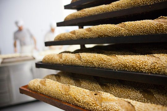 freshly baked bread baguettes in bakery workshop
