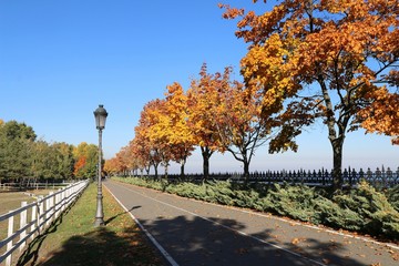 autumn in the park,  mejigorie, Kiev region, ukraine, autumn, road, tree, fall, nature, trees, park, forest, landscape, leaves, season, yellow, green,, alley, leaf, path, foliage,