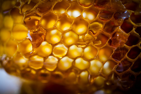 Honeycomb with honey