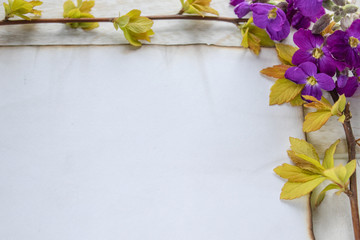 On white wooden boards, branches with yellow sheets and purple flowers, a white sheet of paper burned at the edges, leaving room for text.