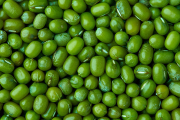 Small Asian green beans