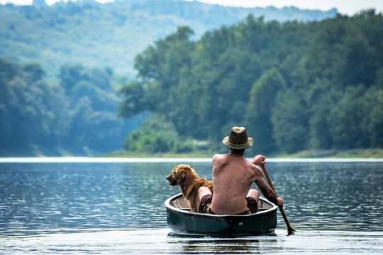 A man and his dog canoe down the Delaware River in the Eastern United States