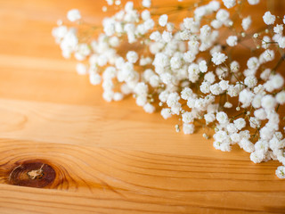 Gypsophila Paniculata, Baby's breath flowers on wooden background. Flat lay composition.