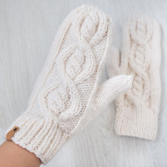 Fototapeta na wymiar beauty hand knit mittens