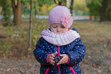 A little girl holds a fir cone in the autumn park