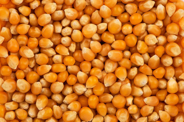 Top view on background texture of natural kernel of corn. Copy space for your text.