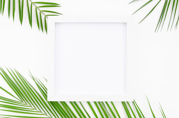 Top view frame mockup border arrangement with palm leaves on white background
