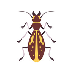 Beetle Insect, Yellow and Brown Bug Top View Flat Vector Illustration