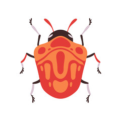 Orange Bug Insect Top View Flat Vector Illustration