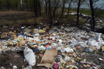 Obraz premium Spring landscape.Ecology of Ukraine. Nature near Ukrainian capital. Environmental contamination. Illegal junk dump. Near Kiev,Ukraine