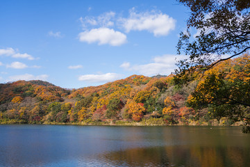 Naklejka na ściany i meble 紅葉した山と湖