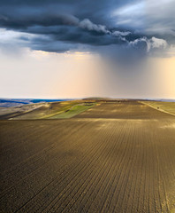 Fototapeta premium Agriculture fields drone view