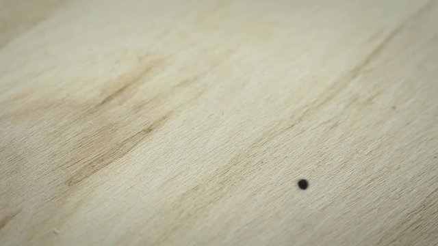 Cumin seeds falls on the wooden rotating board; close up, macro shot; slow motion.