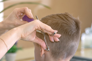 Barber hairdresser cuts young man in a beauty salon. back view