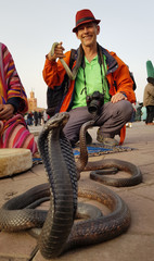 Happy man  is photographed with poisonous snakes