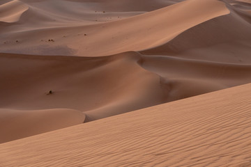 Sunrise on sand dunes, Sahara Sand dunes africa morocco