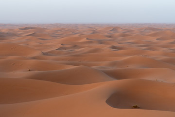 Sunrise on sand dunes, Sahara Sand dunes africa morocco