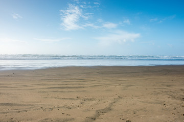 Pacific Northwest Beach