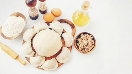 Homemade cooking dumplings with meat. Close-up. Copy space