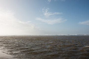 Pacific Northwest Beach