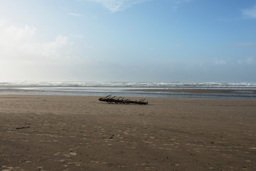 Pacific Northwest Beach