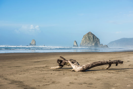 Pacific Northwest Beach