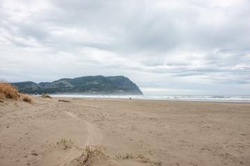 Fototapeta na wymiar Pacific Northwest Beach