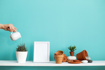 White shelf against pastel turquoise wall with pottery and succulent plant. Hand watering potted succulent plant.