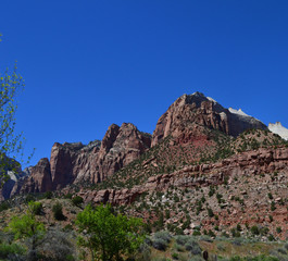 zion national park