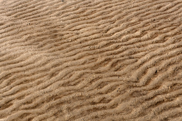 White sand dunes on sunrise Mui Ne, Vietnam