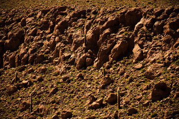 Travel to Santiago and Atacama Desert