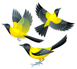 Stylized Birds - Audubon's Oriole