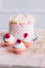 delicious cake and cupcakes in a beautiful decor makes pastry chef