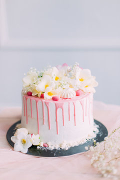 delicious cake and cupcakes in a beautiful decor makes pastry chef