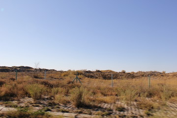landscape with trees and blue sky