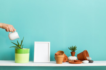 White shelf against pastel turquoise wall with pottery and succulent plant. Hand watering potted...