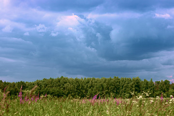 Panoramic view of green meadow and forest seen from far away. An atmospheric textured dark cloudy sky and the last sunshine before storm.