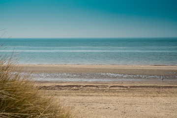 paysage de dunes, plage Burgh Haamstede, Pays-Bas. Côte de la mer du Nord