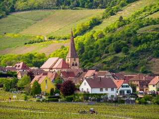 Wide view of the pariah crooked spire church of St. Gall and medieval houses of the valley village of Niedermorschwihr. Haut-Rhin, France. Travel and tourism. - 262523259
