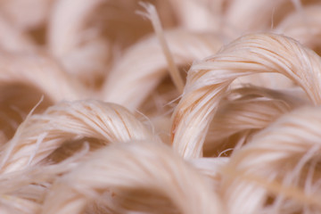 fiber texture pattern, macro of fiber, texture pattern, macro view of texture