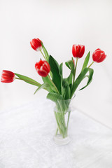 Red tulips in vase on white background. Concept of holiday, birthday, Easter, March 8. 