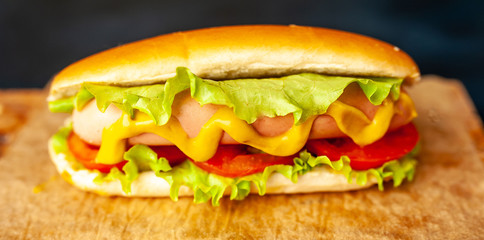 Hot dog on a stone background
