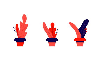 vector, flower, art, design, 